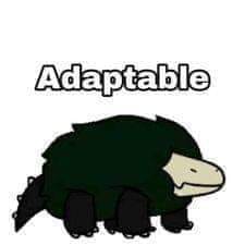Meme sobre adaptacion y supervivencia