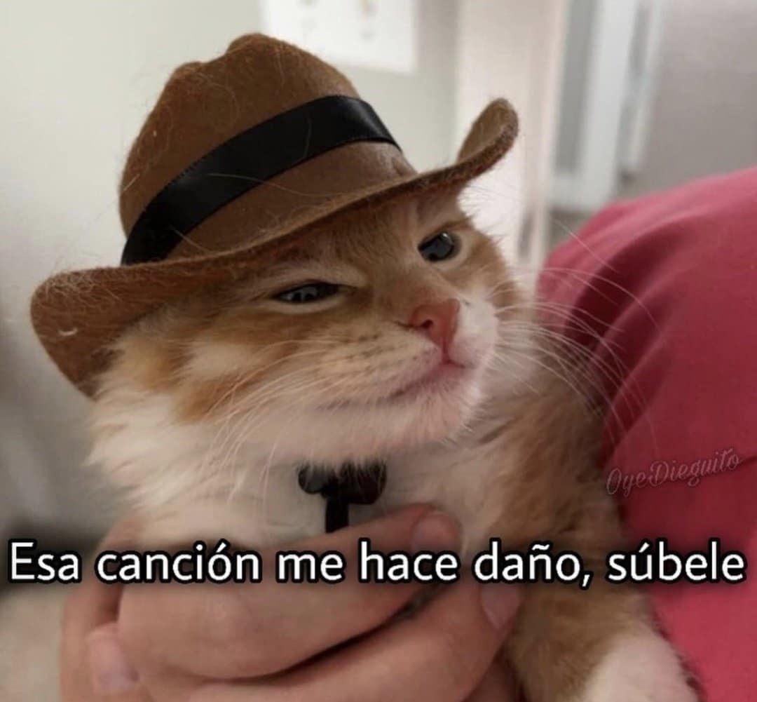 Soundtrack del daño emocional convertido en experiencia trascendente