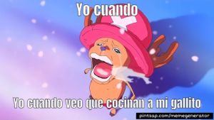 Gatito cocinero en modo operativo culinario