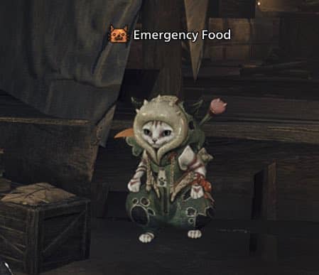 Comida de emergencia para el festival