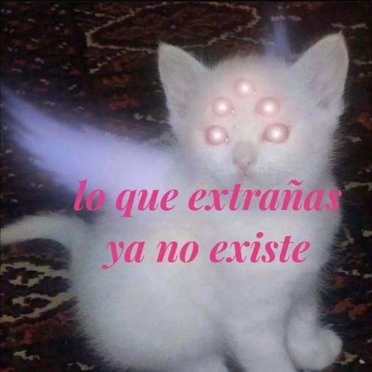 Meme existencial de nostalgia irreversible