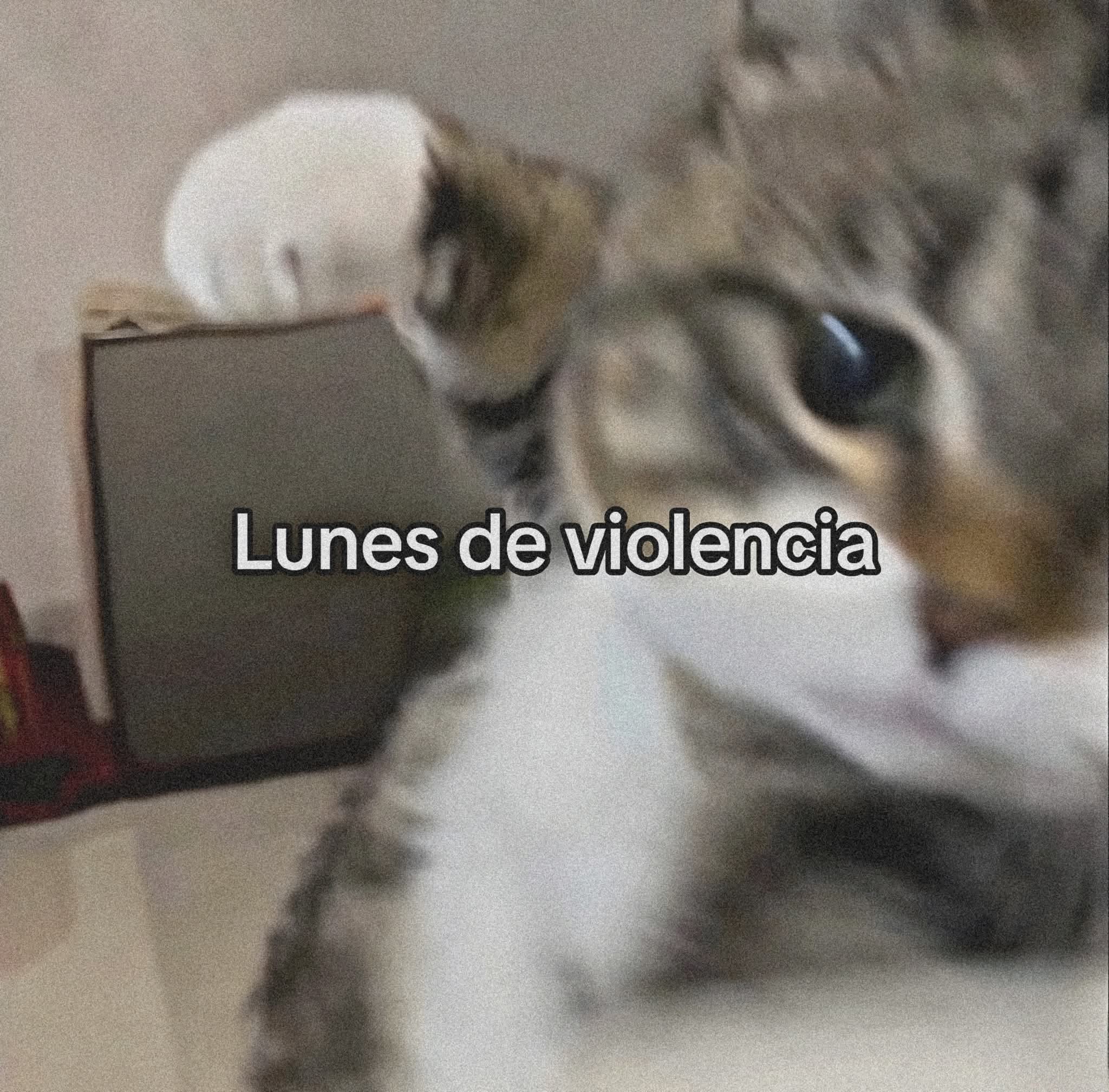 Meme sobre lunes como disparador del expediente semanal