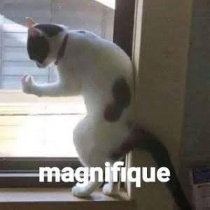 Validacion francesa de la comida rica