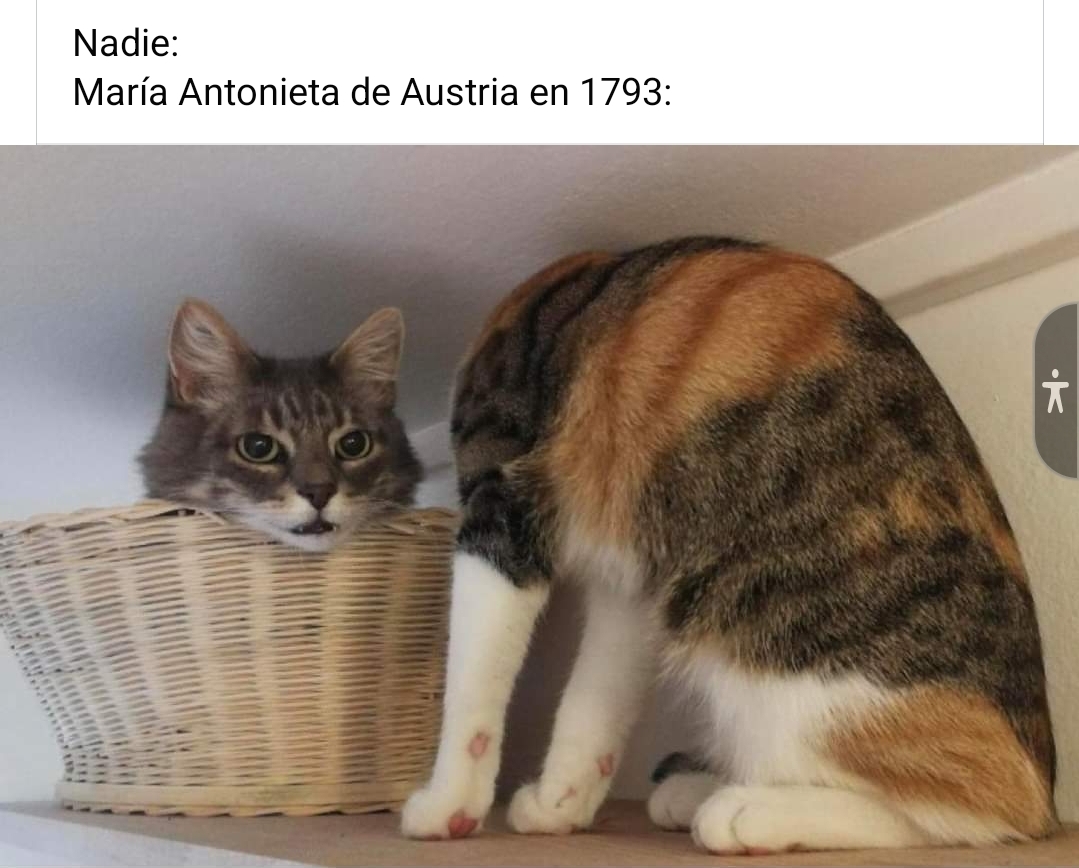 María Antonieta instalada en su sección oficial