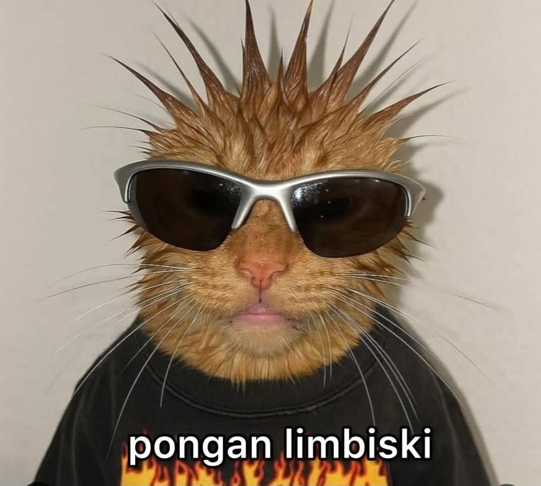 Invocacion sonora para arrancar el Alecfest desde arriba