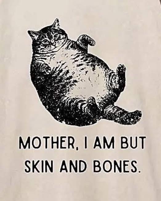 Nivel de desgaste aceptable para entrarle a las chucherias