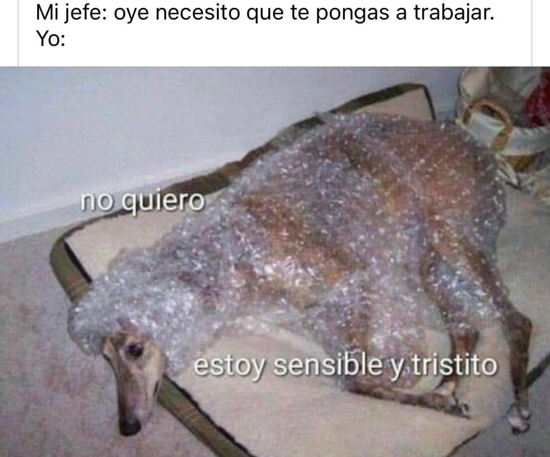 Tristeza pequena de madrugada festiva