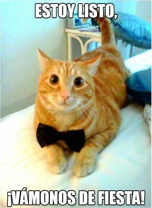 Poster de fiesta y caos para Alecfest