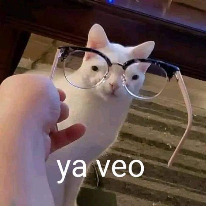 Comprensión súbita del tamaño real de la nueva casita